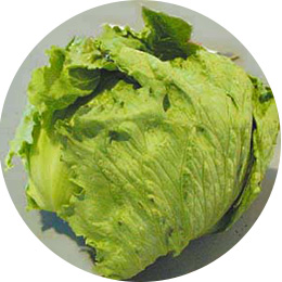 Green Market MOA京橋店商品例