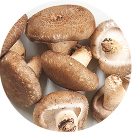 Green Market MOA天王寺店商品例