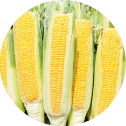 マルシェノグチ商品例