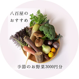 Organic Vege Annex商品例